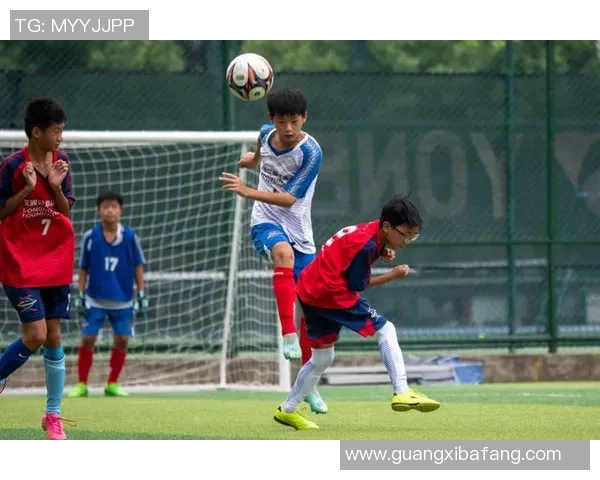 绿茵场上闪耀的巨星追逐梦想的足球人生