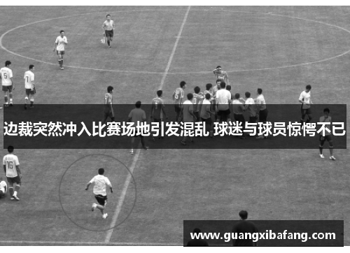 边裁突然冲入比赛场地引发混乱 球迷与球员惊愕不已