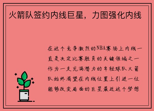 火箭队签约内线巨星，力图强化内线